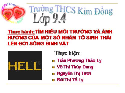 Bài 45. Thực hành: Tìm hiểu môi trường và ảnh hưởng của một số nhân tố sinh thái lên đời sống sinh vật