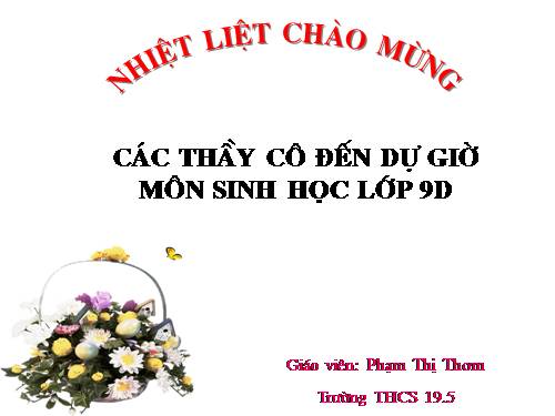 Bài 47. Quần thể sinh vật