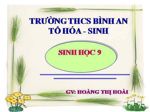 Bài 44. Ảnh hưởng lẫn nhau giữa các sinh vật