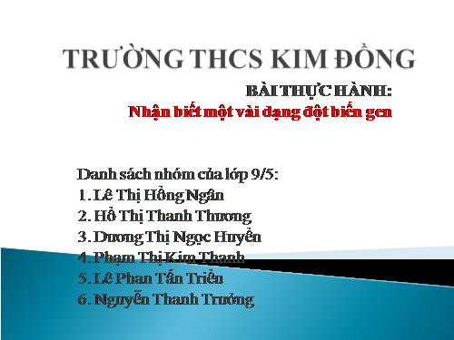 Bài 26. Thực hành: Nhận biết một vài dạng đột biến