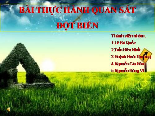 Bài 26. Thực hành: Nhận biết một vài dạng đột biến