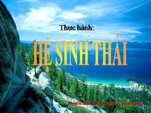 Bài 51. Thực hành: Hệ sinh thái