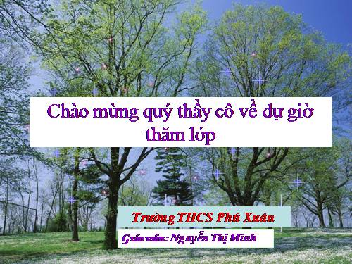 Bài 19. Mối quan hệ giữa gen và tính trạng