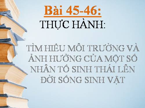 Bài 45. Thực hành: Tìm hiểu môi trường và ảnh hưởng của một số nhân tố sinh thái lên đời sống sinh vật