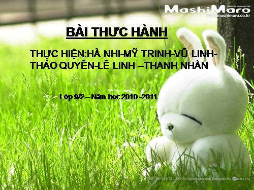 Bài 56. Thực hành: Tìm hiểu tình hình môi trường ở địa phương