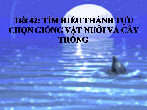 Bài 39. Thực hành: Tìm hiểu thành tựu chọn giống vật nuôi và cây trồng