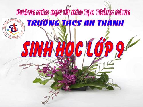 Bài 34. Thoái hoá do tự thụ phấn và do giao phối gần