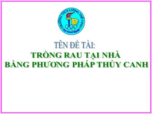 Trồng rau tại nhà bằng phương pháp thủy canh