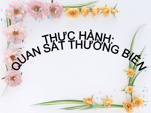 Bài 27. Thực hành: Quan sát thường biến