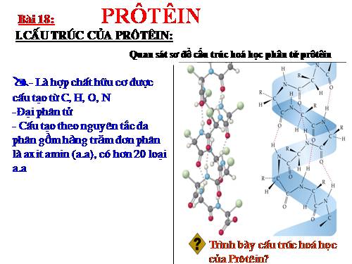 Bài 18. Prôtêin