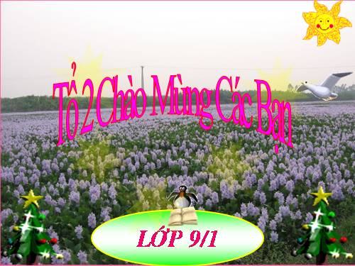 Bài 27. Thực hành: Quan sát thường biến