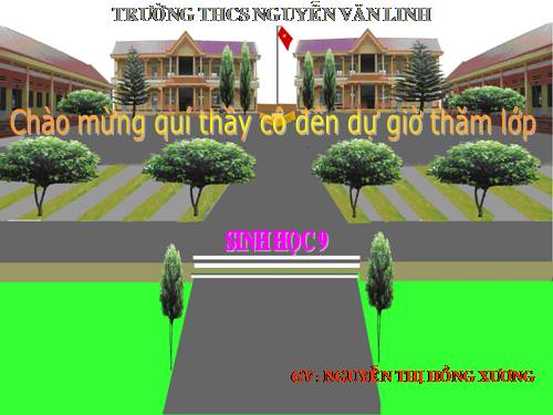 Bài 29. Bệnh và tật di truyền ở người