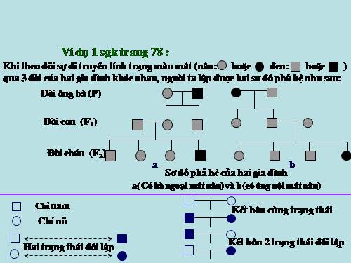 Bài 28. Phương pháp nghiên cứu di truyền người