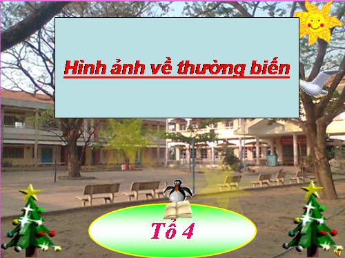 Bài 27. Thực hành: Quan sát thường biến