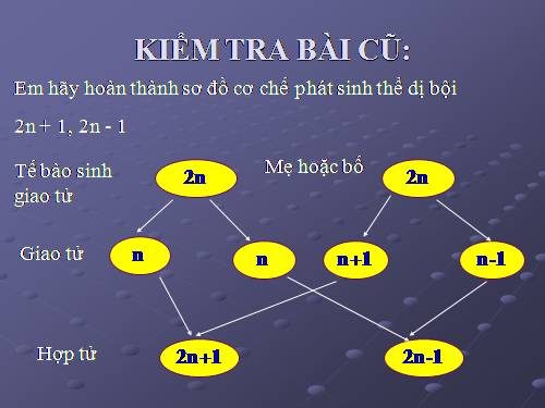 Bài 29. Bệnh và tật di truyền ở người