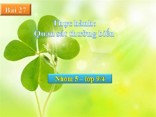 Bài 27. Thực hành: Quan sát thường biến