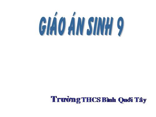 Bài 41. Môi trường và các nhân tố sinh thái