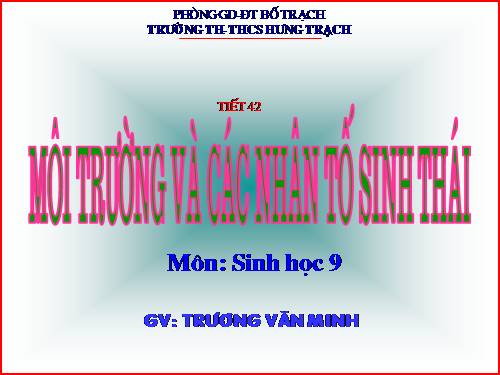 Bài 41. Môi trường và các nhân tố sinh thái