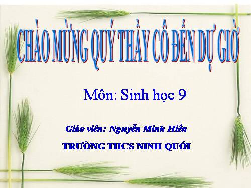 Bài 19. Mối quan hệ giữa gen và tính trạng