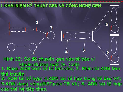 Bài 32. Công nghệ gen