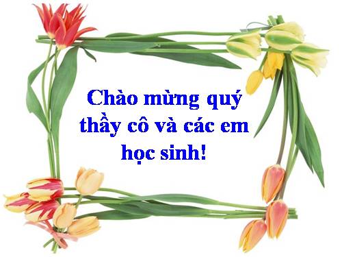 Bài 25. Thường biến