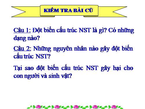 Bài 23. Đột biến số lượng nhiễm sắc thể