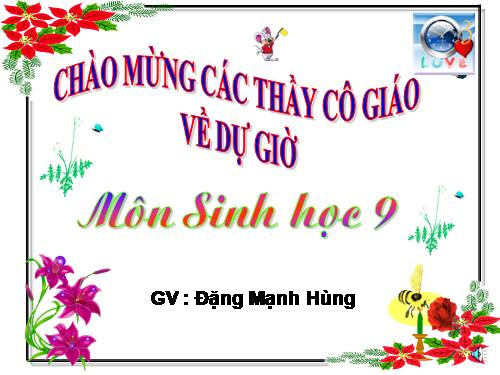 Bài 21. Đột biến gen