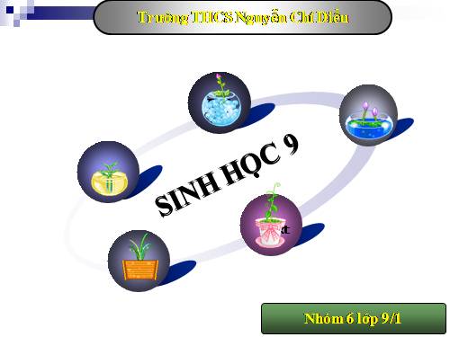 Bài 39. Thực hành: Tìm hiểu thành tựu chọn giống vật nuôi và cây trồng