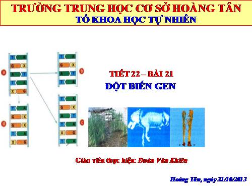 Bài 21. Đột biến gen