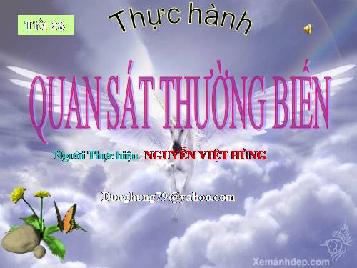 Bài 27. Thực hành: Quan sát thường biến