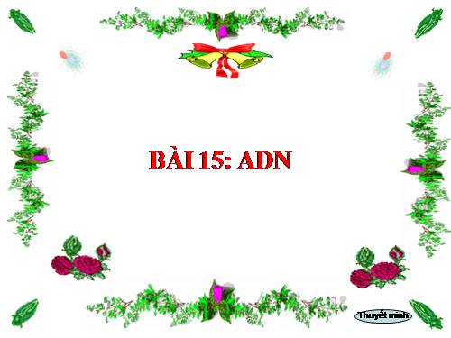 Bài 15. ADN