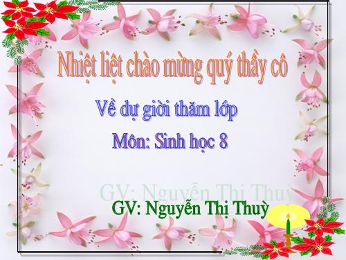 Bài 19. Mối quan hệ giữa gen và tính trạng