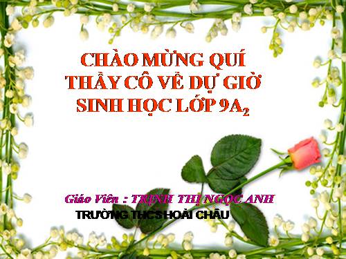 Bài 38. Thực hành: Tập dượt thao tác giao phấn