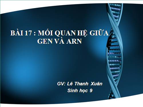 Bài 17. Mối quan hệ giữa gen và ARN