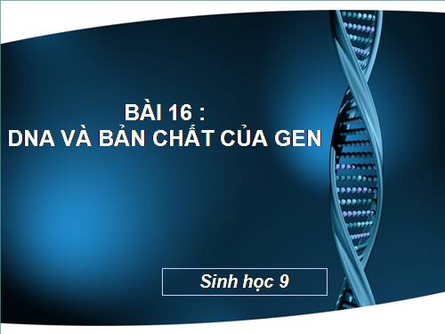 Bài 16. ADN và bản chất của gen