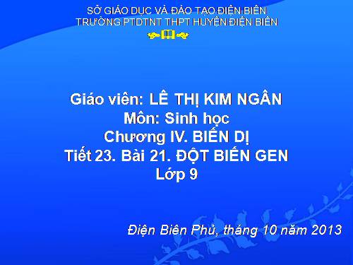 Bài 21. Đột biến gen