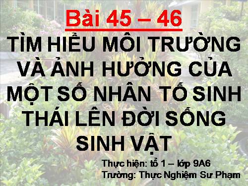 Bài 45. Thực hành: Tìm hiểu môi trường và ảnh hưởng của một số nhân tố sinh thái lên đời sống sinh vật