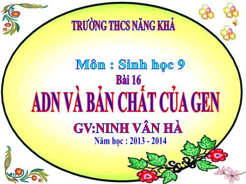 Bài 16. ADN và bản chất của gen