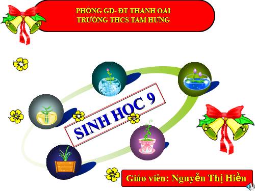 Bài 19. Mối quan hệ giữa gen và tính trạng