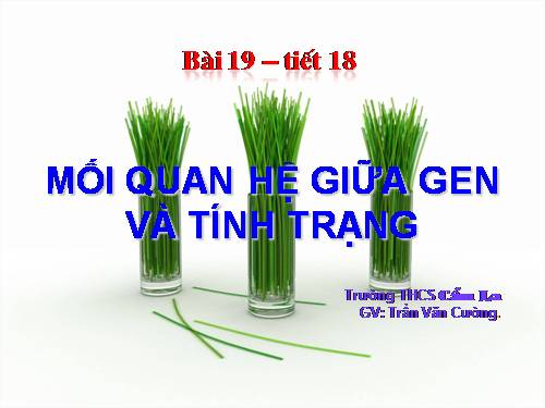 Bài 19. Mối quan hệ giữa gen và tính trạng