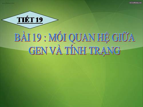 Bài 19. Mối quan hệ giữa gen và tính trạng