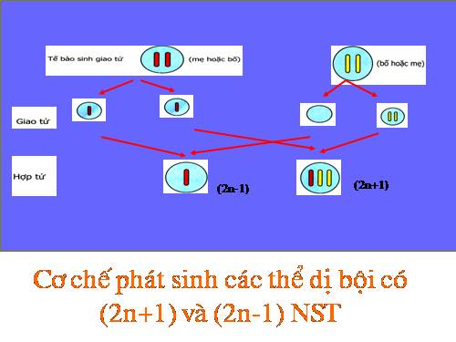 Bài 29. Bệnh và tật di truyền ở người