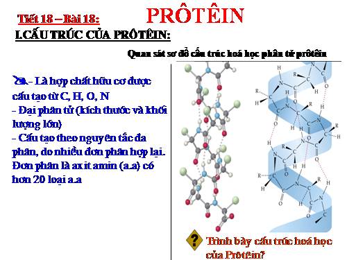 Bài 18. Prôtêin