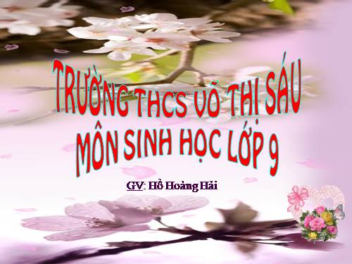 Bài 17. Mối quan hệ giữa gen và ARN