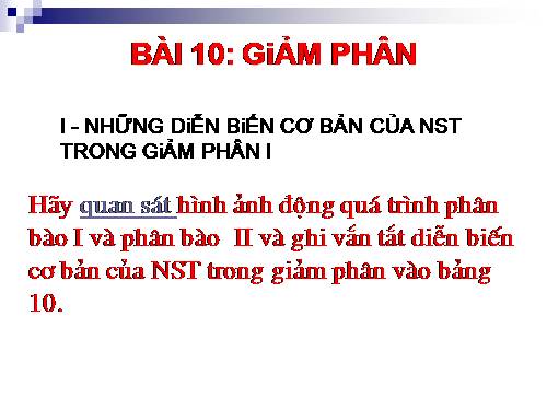 Bài 10. Giảm phân