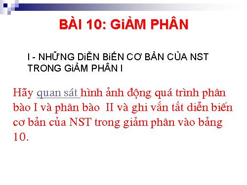 Bài 10. Giảm phân