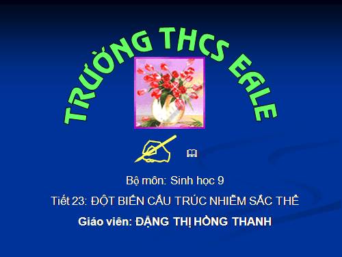 Bài 22. Đột biến cấu trúc nhiễm sắc thể