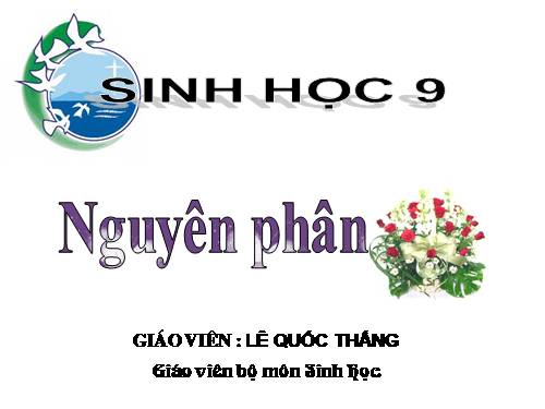 Bài 9. Nguyên phân