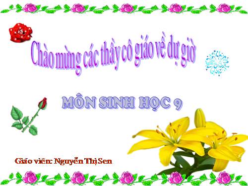 Bài 12. Cơ chế xác định giới tính