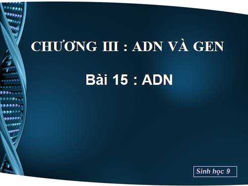 Bài 15. ADN